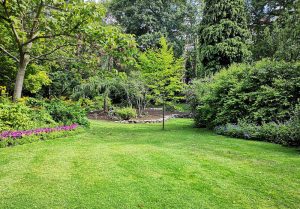 Optimiser l'expérience du jardin à Evergnicourt
